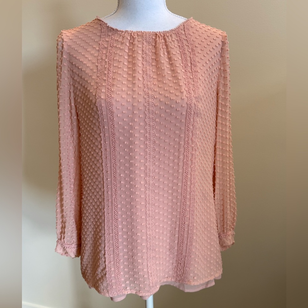 J. Crew Swiss Dot Long sleeve Top Size 8 Romantic Preppy Coquette Career Chic